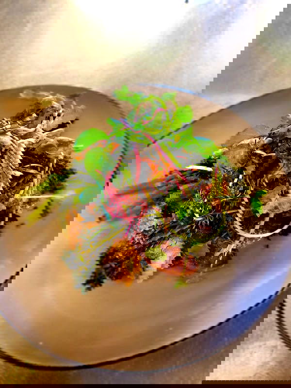 Nyströms Gastronomi & Catering AB - Photo 5