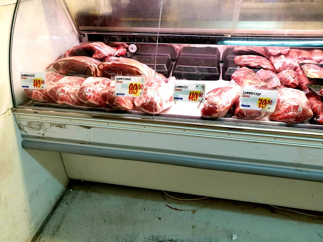 Uppsala Orienthus - Photo 4