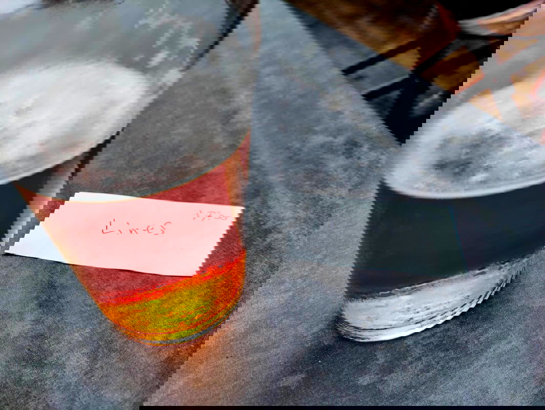 Vinny's Krog - Photo 4