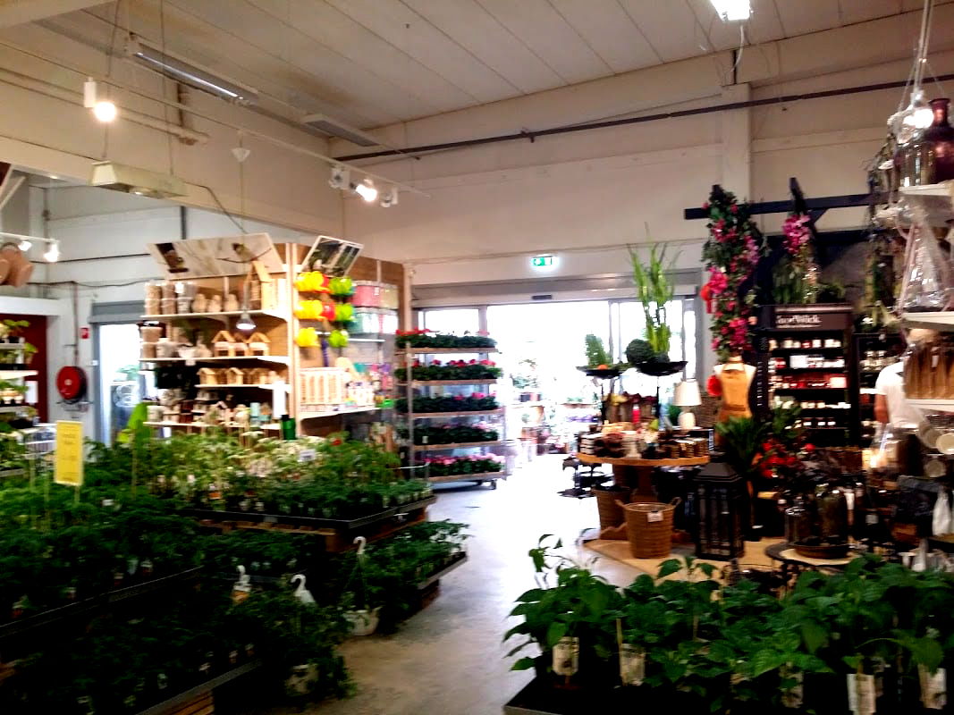 Rångedala Plantskola - Photo 1