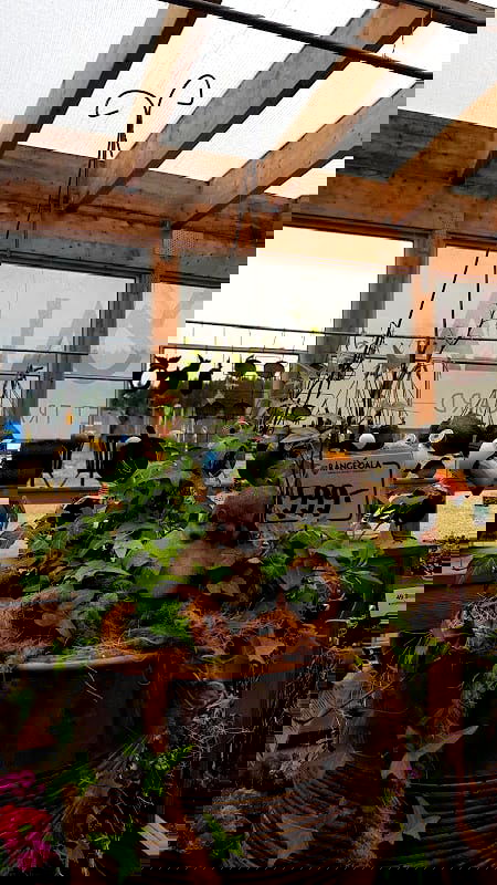 Rångedala Plantskola - Photo 3