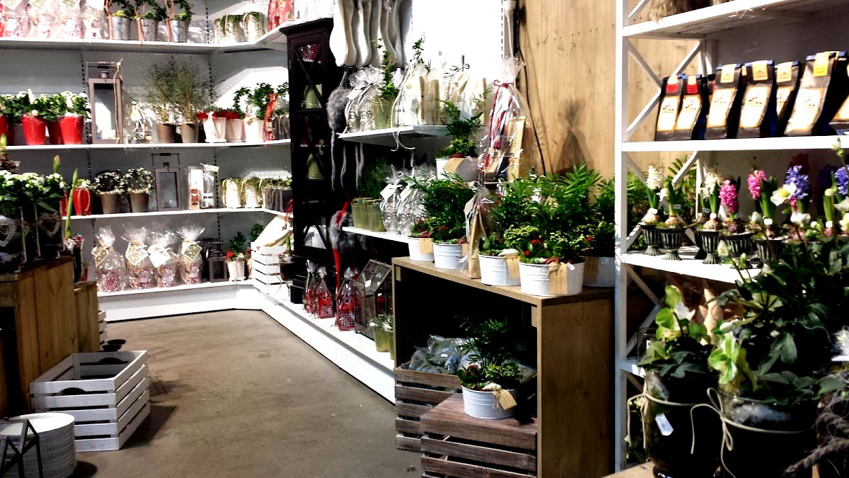 Rångedala Plantskola - Photo 5