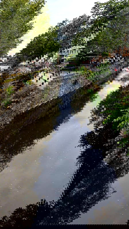 Restaurang Elvira's - Photo 4