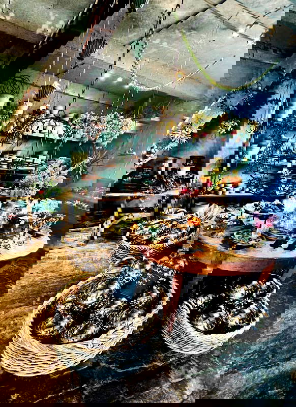 Kiviks Cider on Solnäs Farm - Photo 4