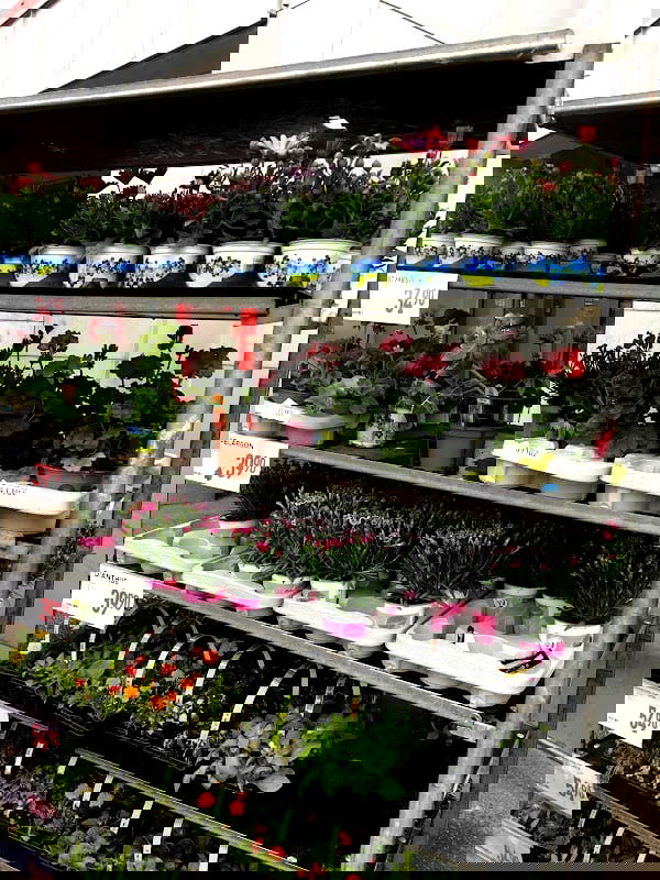 Willys Björkgatan - Photo 4