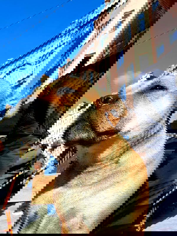 Mocca Café - Photo 4