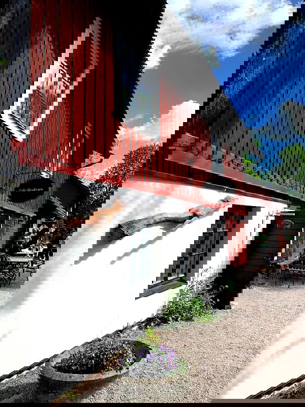 Vinterfiket - Photo 4