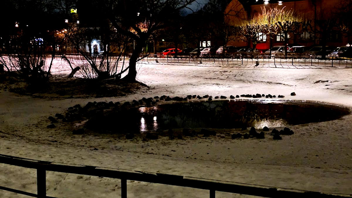 Birgerjarl - Photo 4