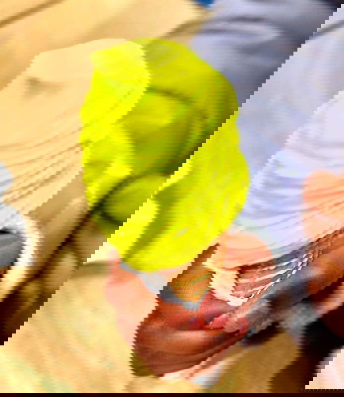 American Spin Cream - Photo 4