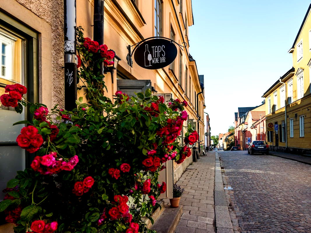 Taps Wine Bar - Photo 3