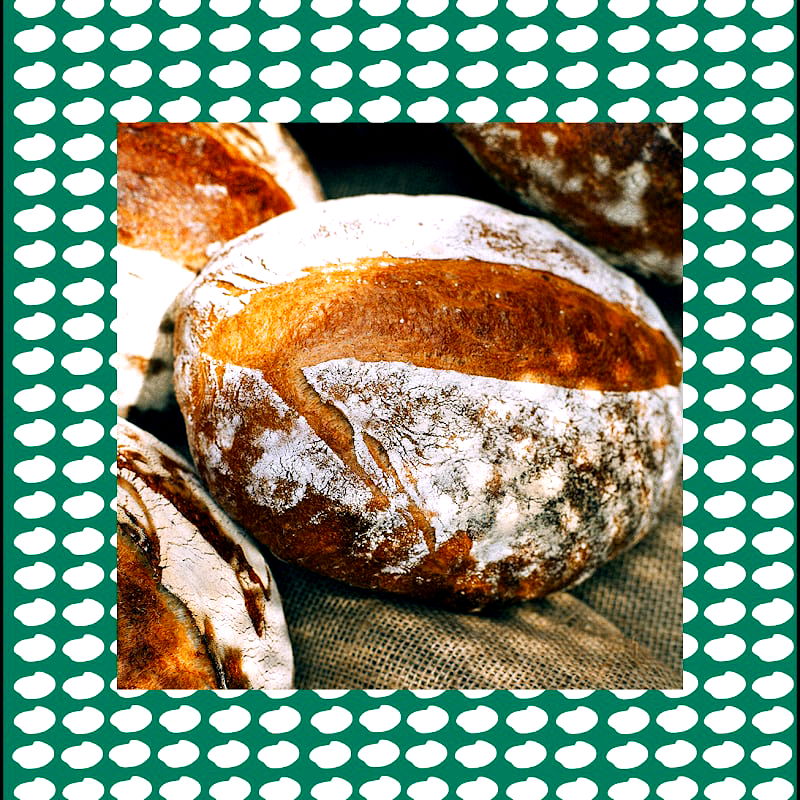 Plantkaféet - Photo 2