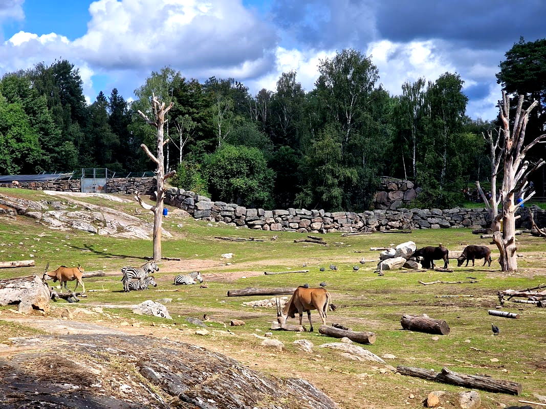 Borås Zoo - Photo 2