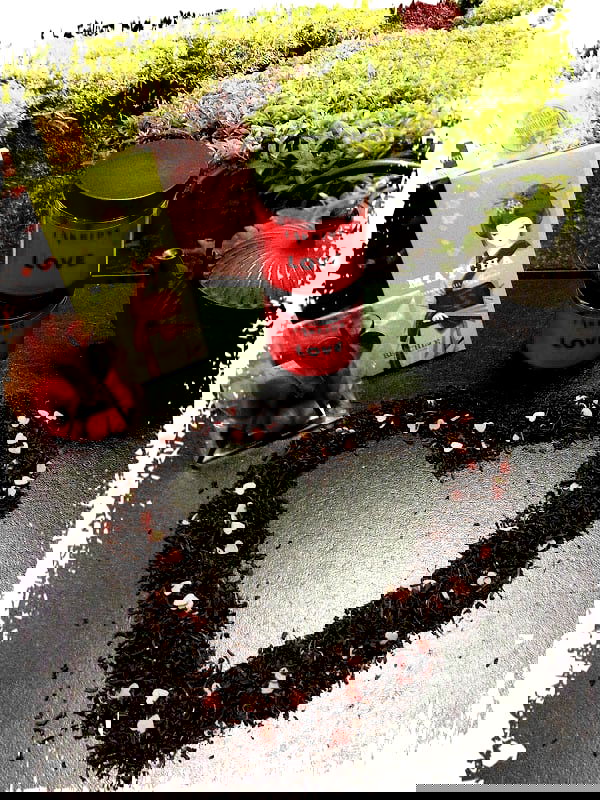 Teahouse Shiva - Photo 5