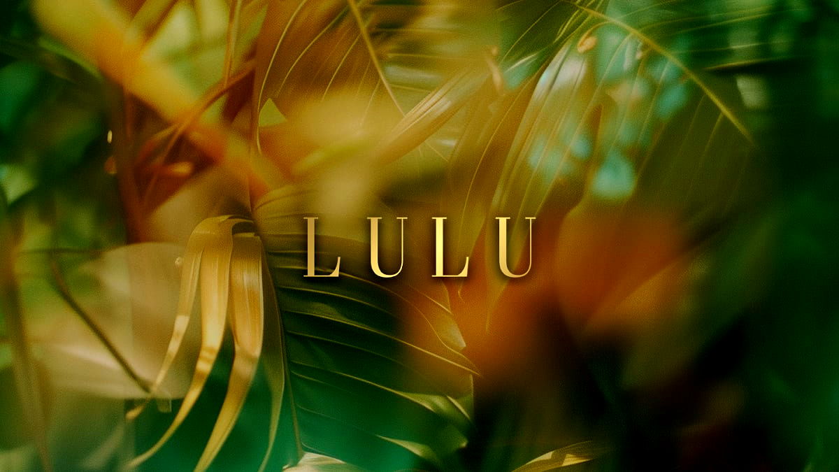Lulu - Photo 3