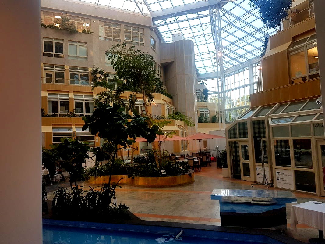 White lunch & event - Photo 3