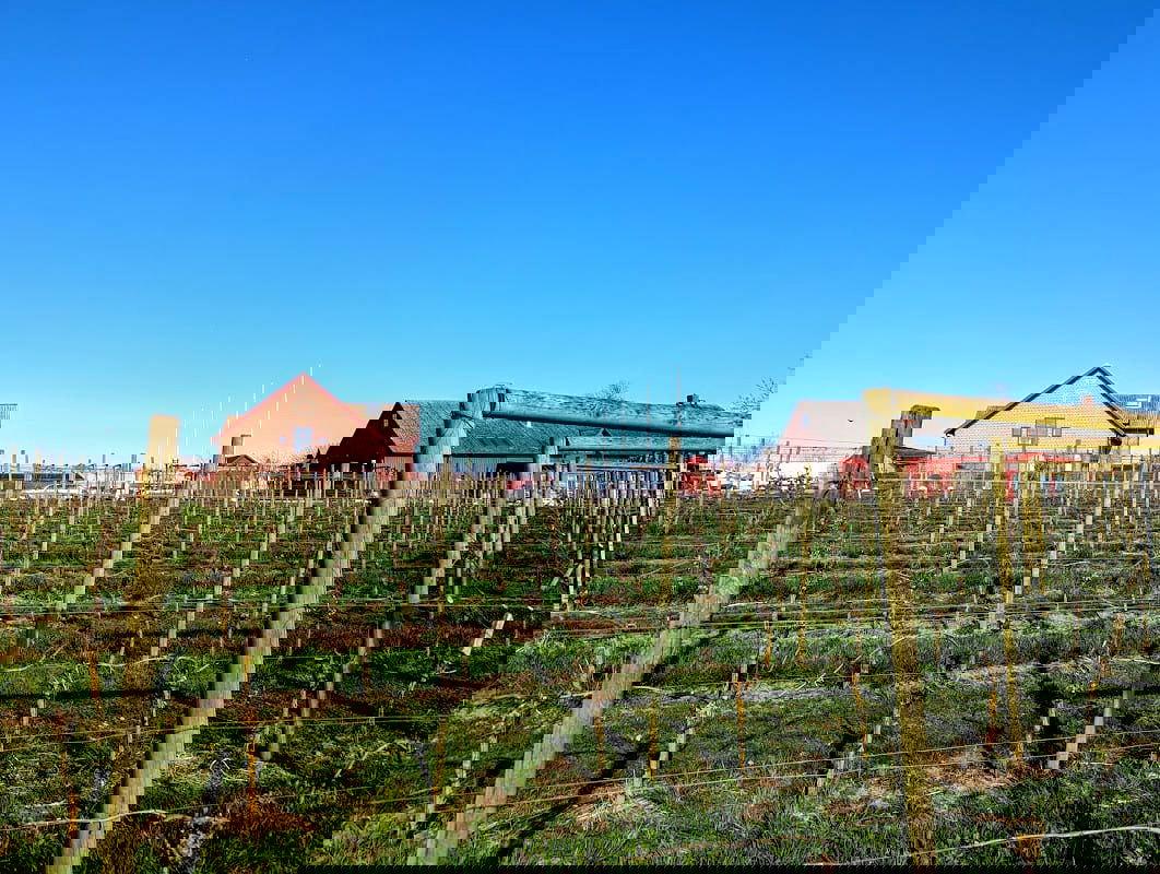 Flädie Mat & Vingård - Photo 4