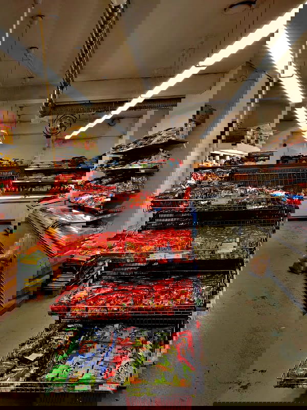 Central Gross - Photo 2