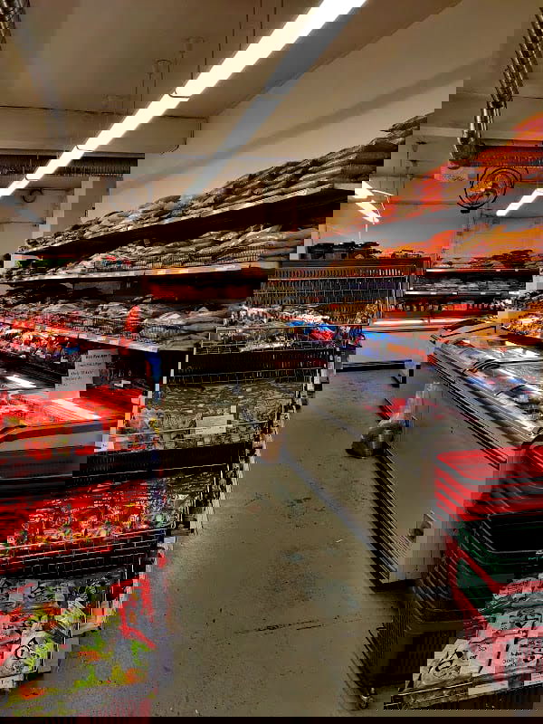 Central Gross - Photo 5