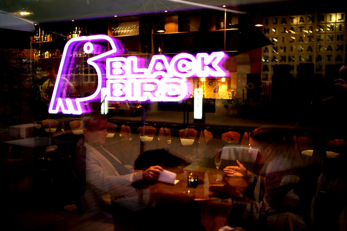 Black Bird - Photo 1