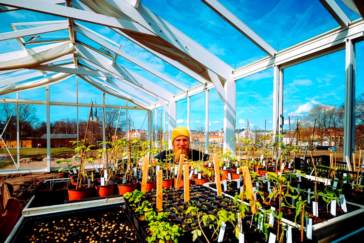 Ekobacken & Picknick de luxe - Photo 1