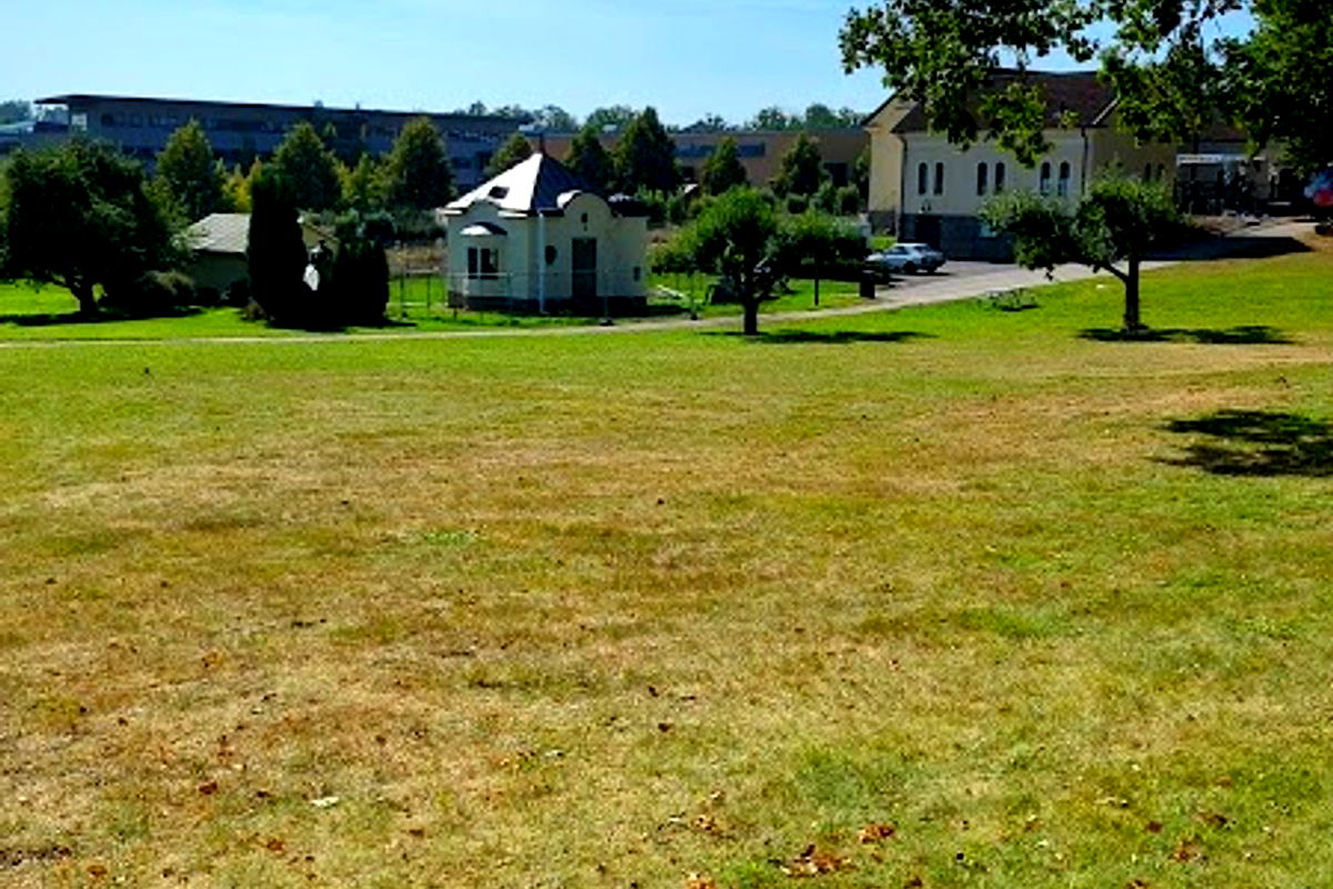 Slottsstallarna - Photo 1