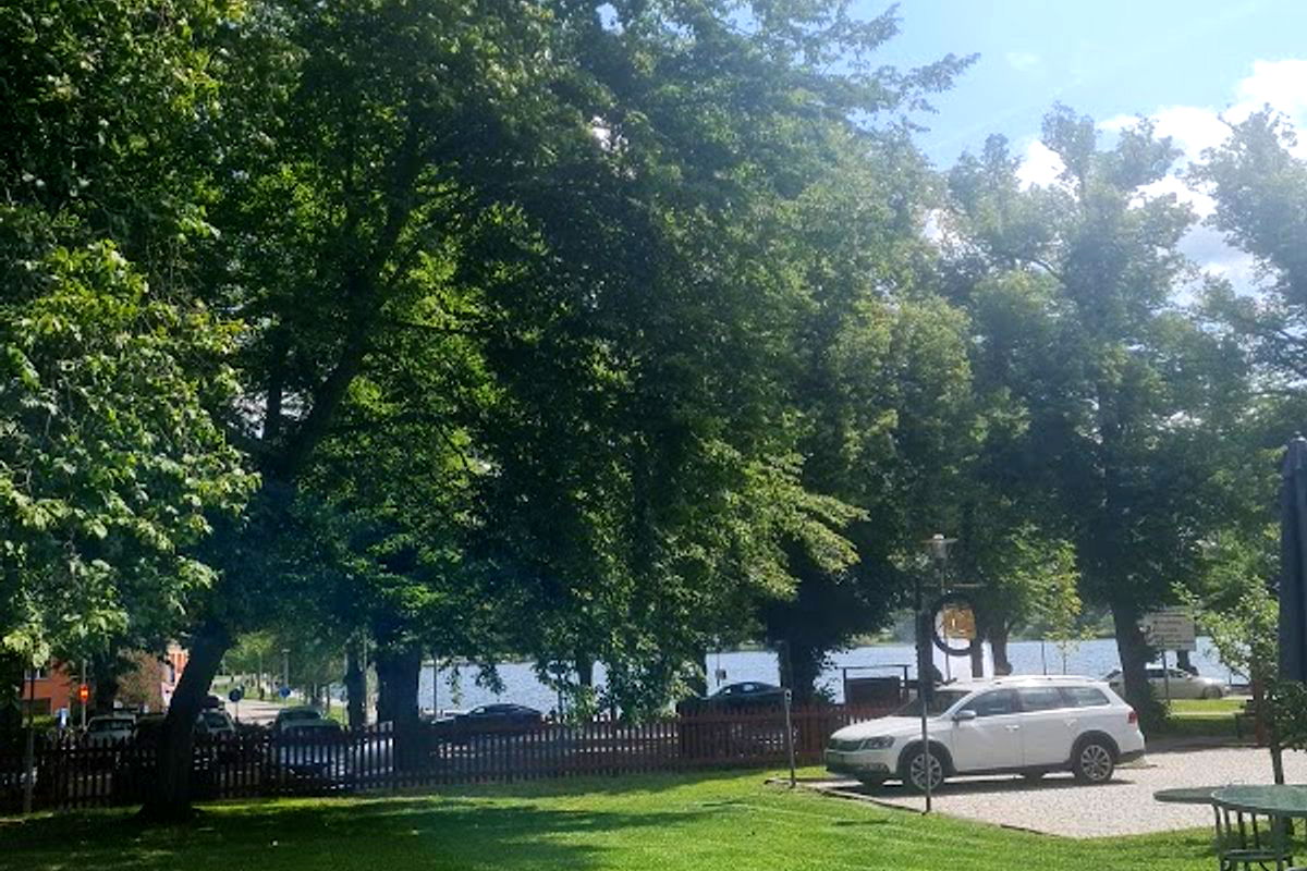 Mammornas cafe - Photo 4