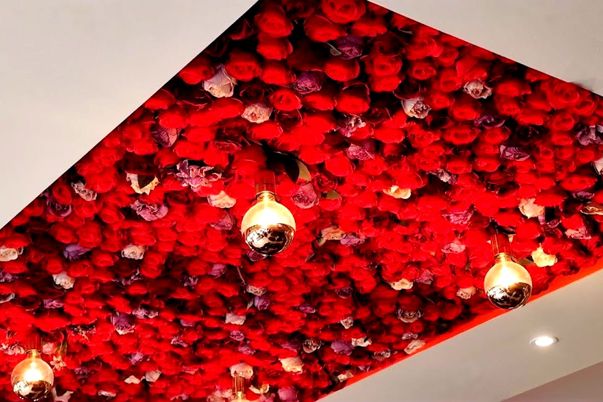 Choco shill / Shill Centrum - Photo 5