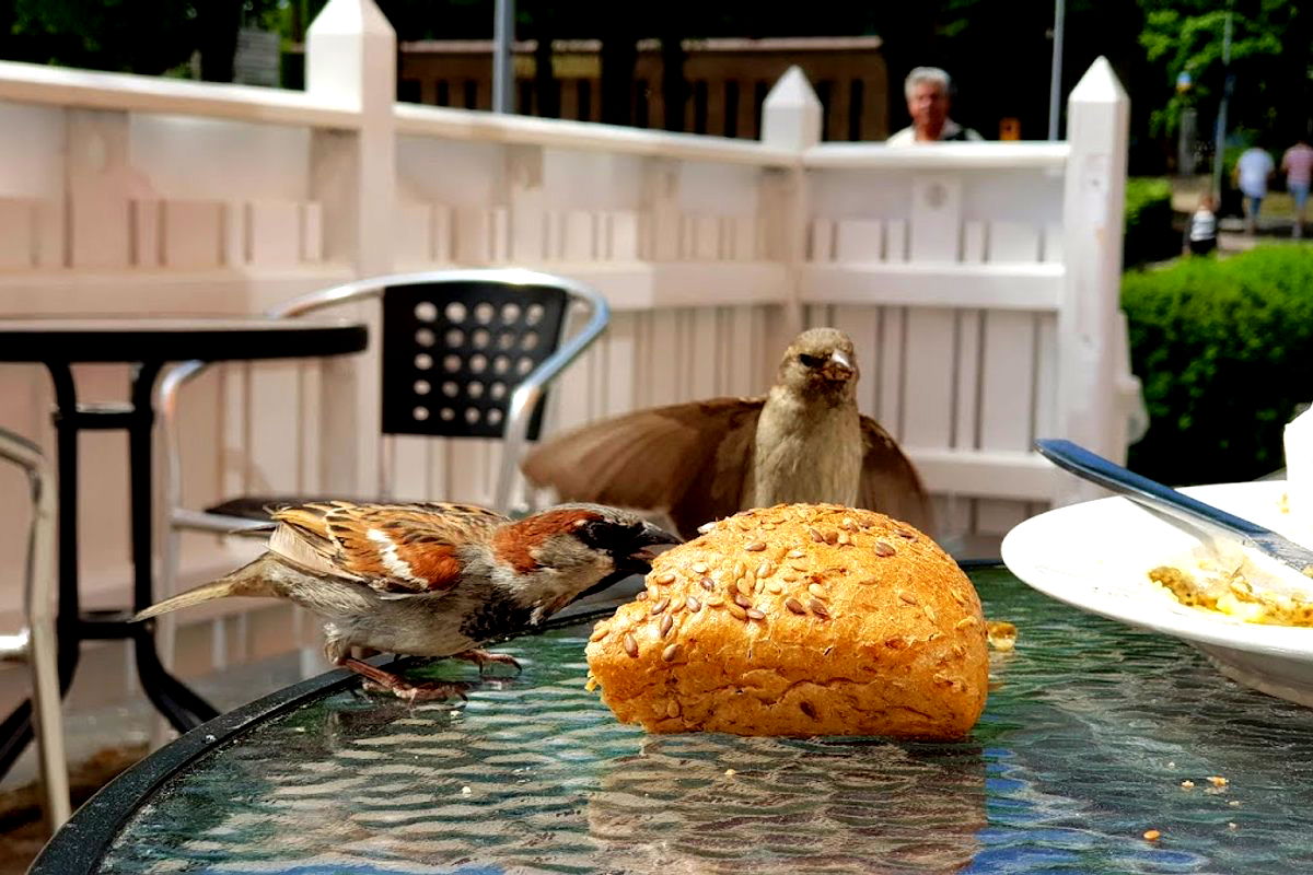 Café Fontaine - Photo 2