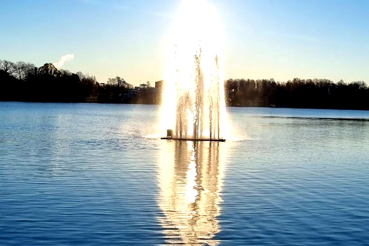 Café Fontaine - Photo 4