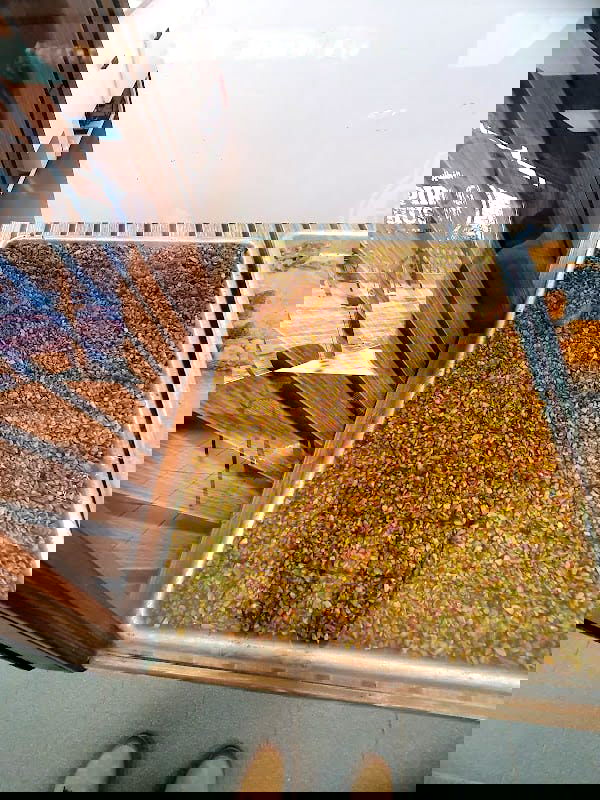 PirogHuset - Photo 4