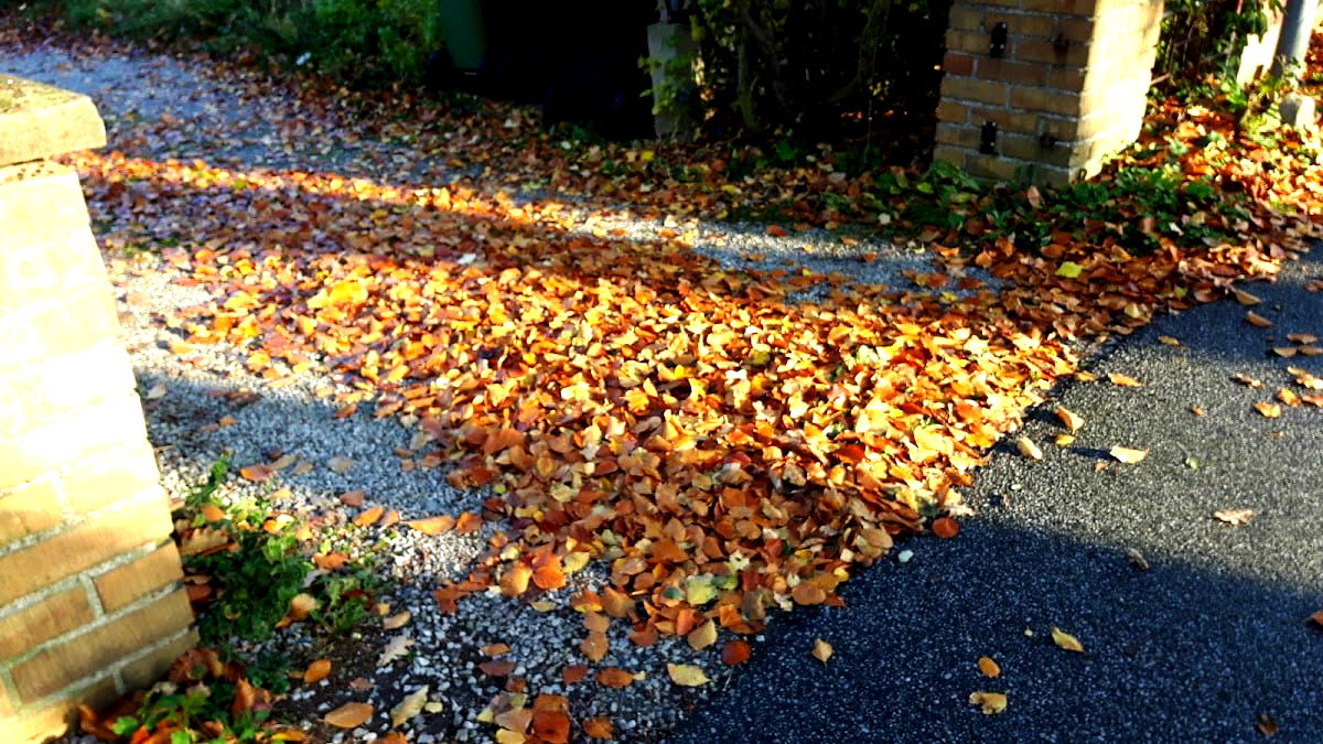 Restaurang & Pizzeria Västra Ingelstad - Photo 3