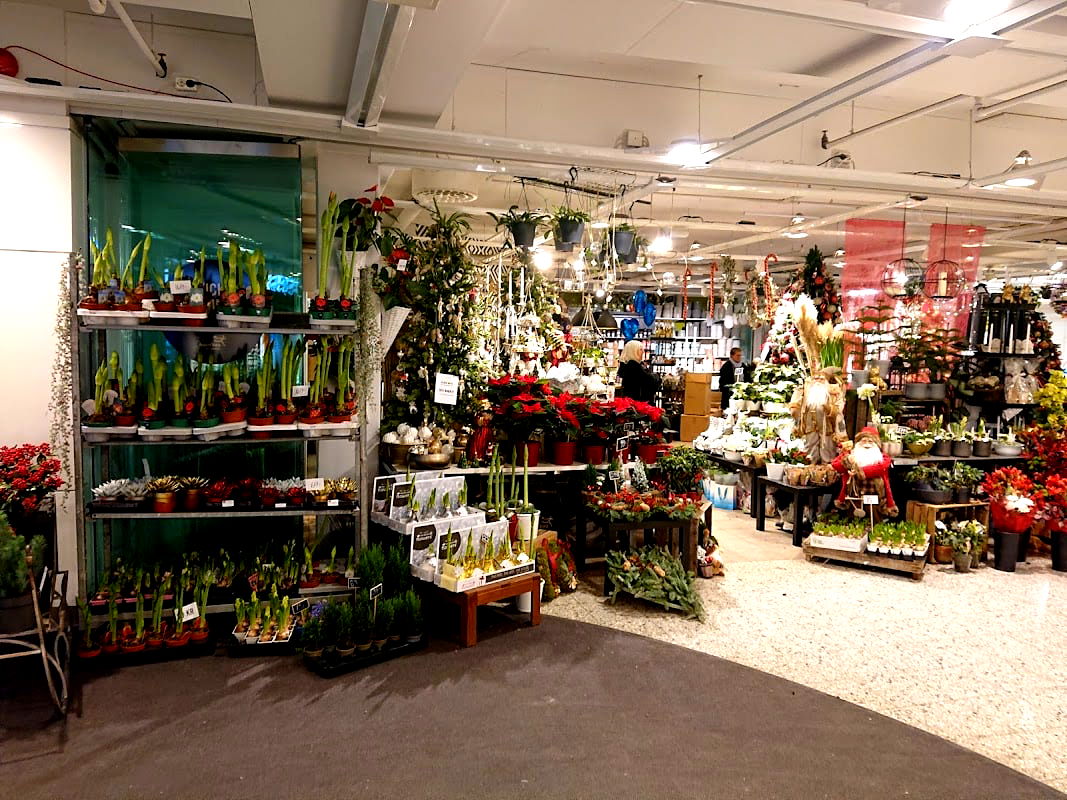 City ​​Gross - Photo 5