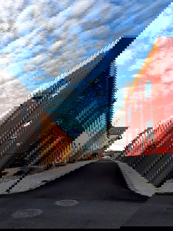 M' Sushi Lounge - Photo 4