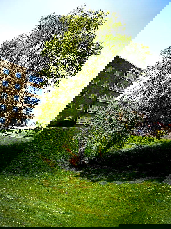 Cellos glassbar - Photo 5