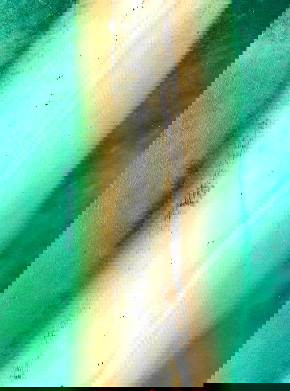 Mestizo @ Plan2 - Photo 3