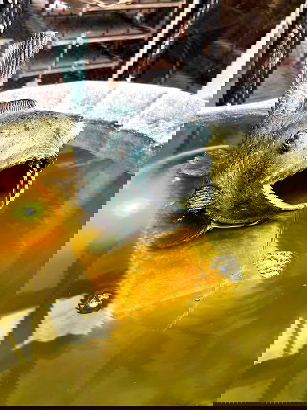 Tirups plantbarn - Photo 2