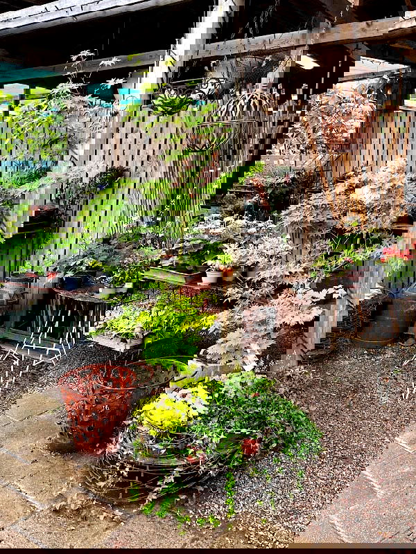 Tirups plantbarn - Photo 3