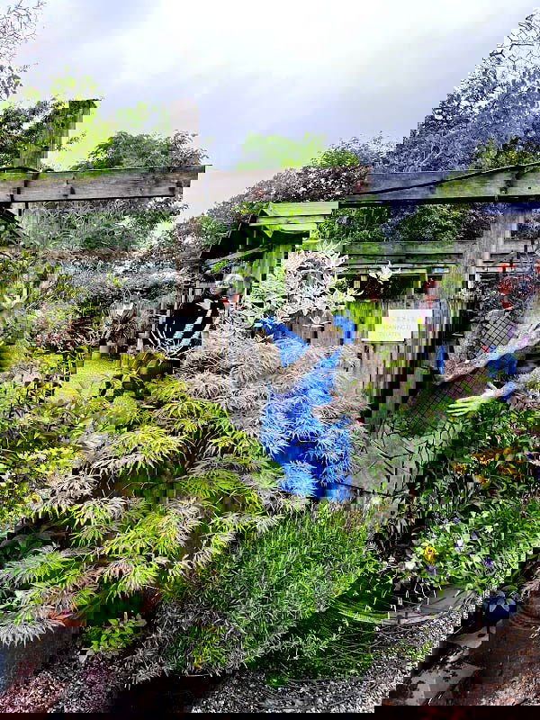 Tirups plantbarn - Photo 4