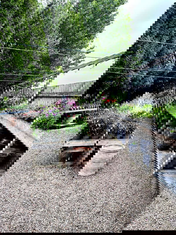 Tirups plantbarn - Photo 5