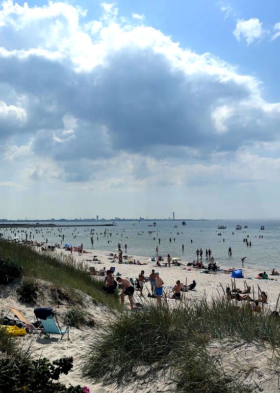 Scoop Lomma - Photo 4