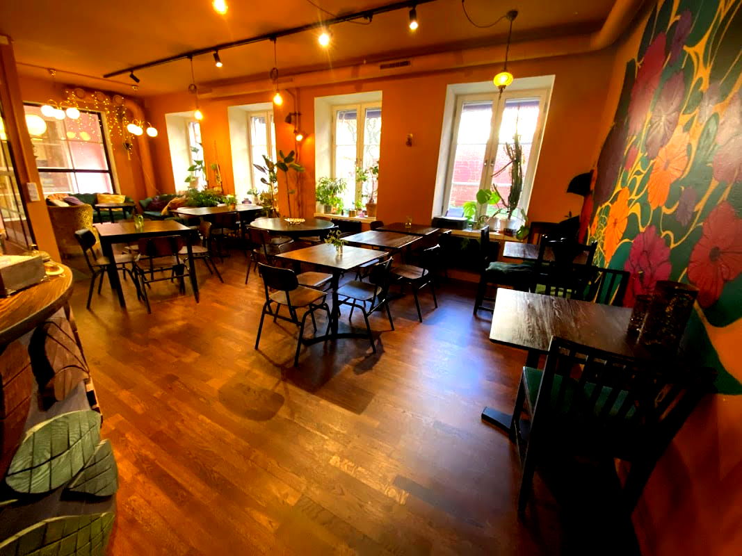 Nomi the Karakal - Photo 1