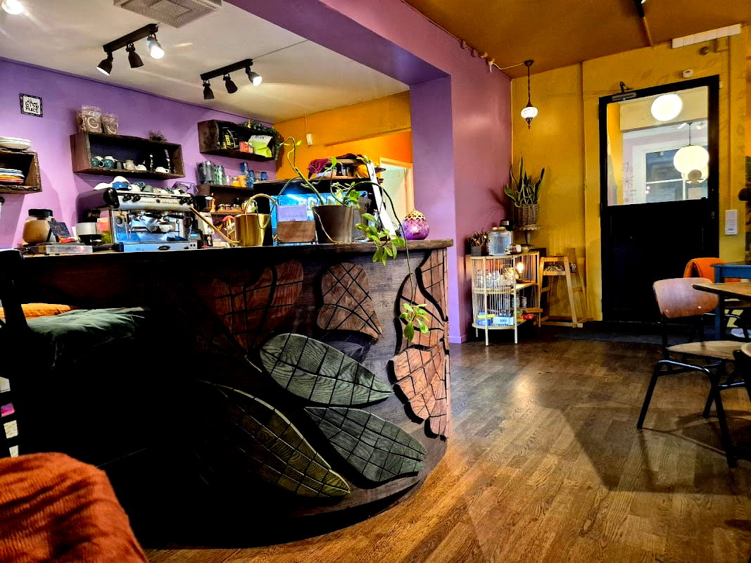 Nomi the Karakal - Photo 2