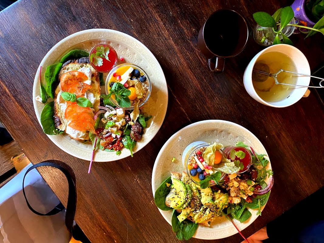 Nomi the Karakal - Photo 3