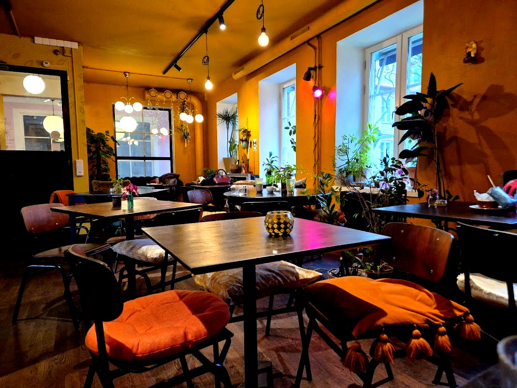 Nomi the Karakal - Photo 5