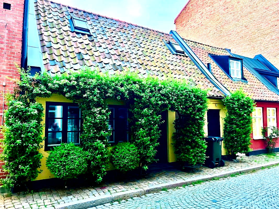 Max café (Malmö) - Photo 4