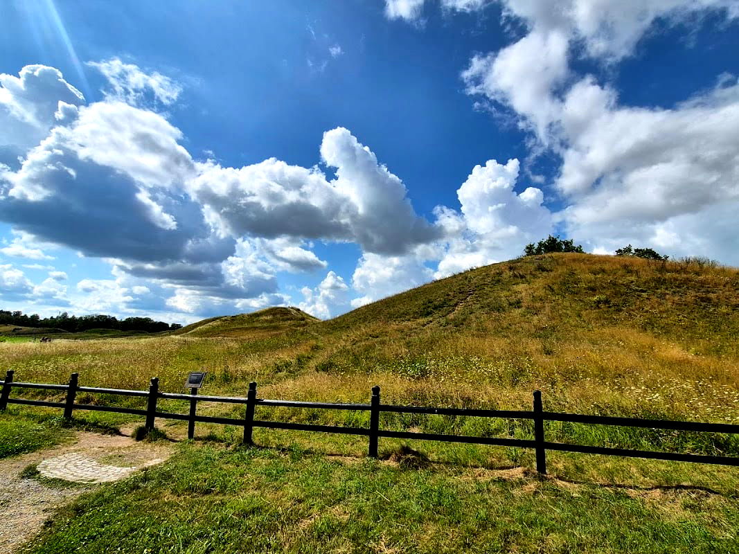 Odinsborg Café & Restaurang - Photo 4