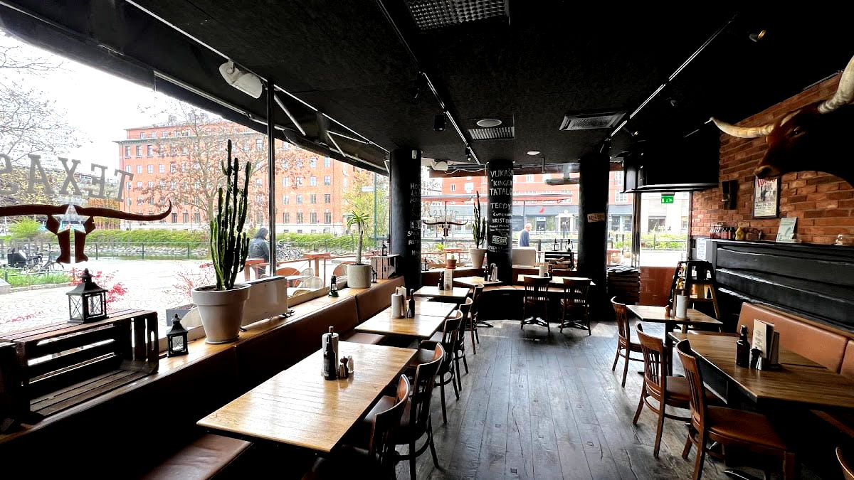 Texas Longhorn - Photo 1