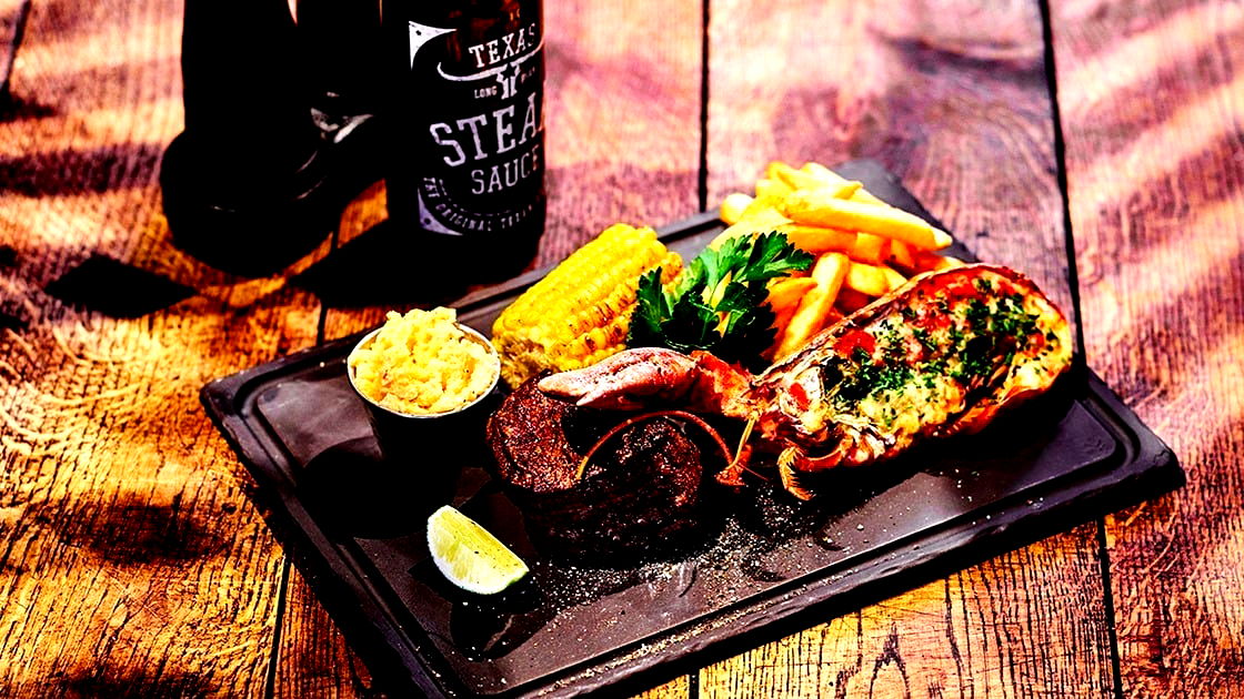 Texas Longhorn - Photo 2