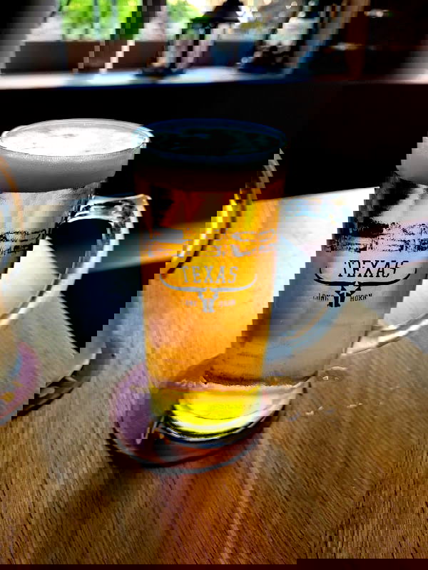 Texas Longhorn - Photo 4