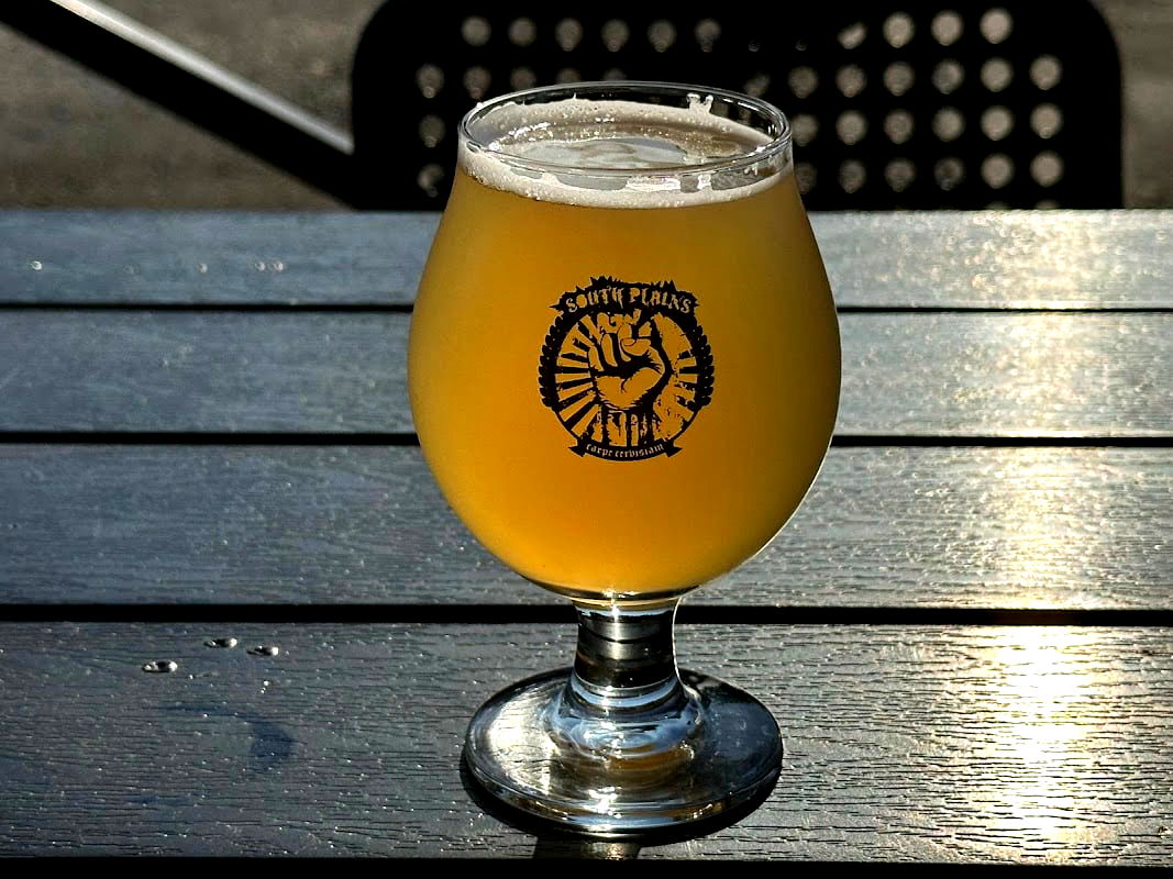 The Green Lion Pub - Photo 5